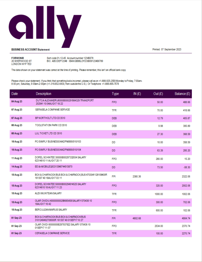 Modèle Word et PDF de relevé d'entreprise d'Ally Bank